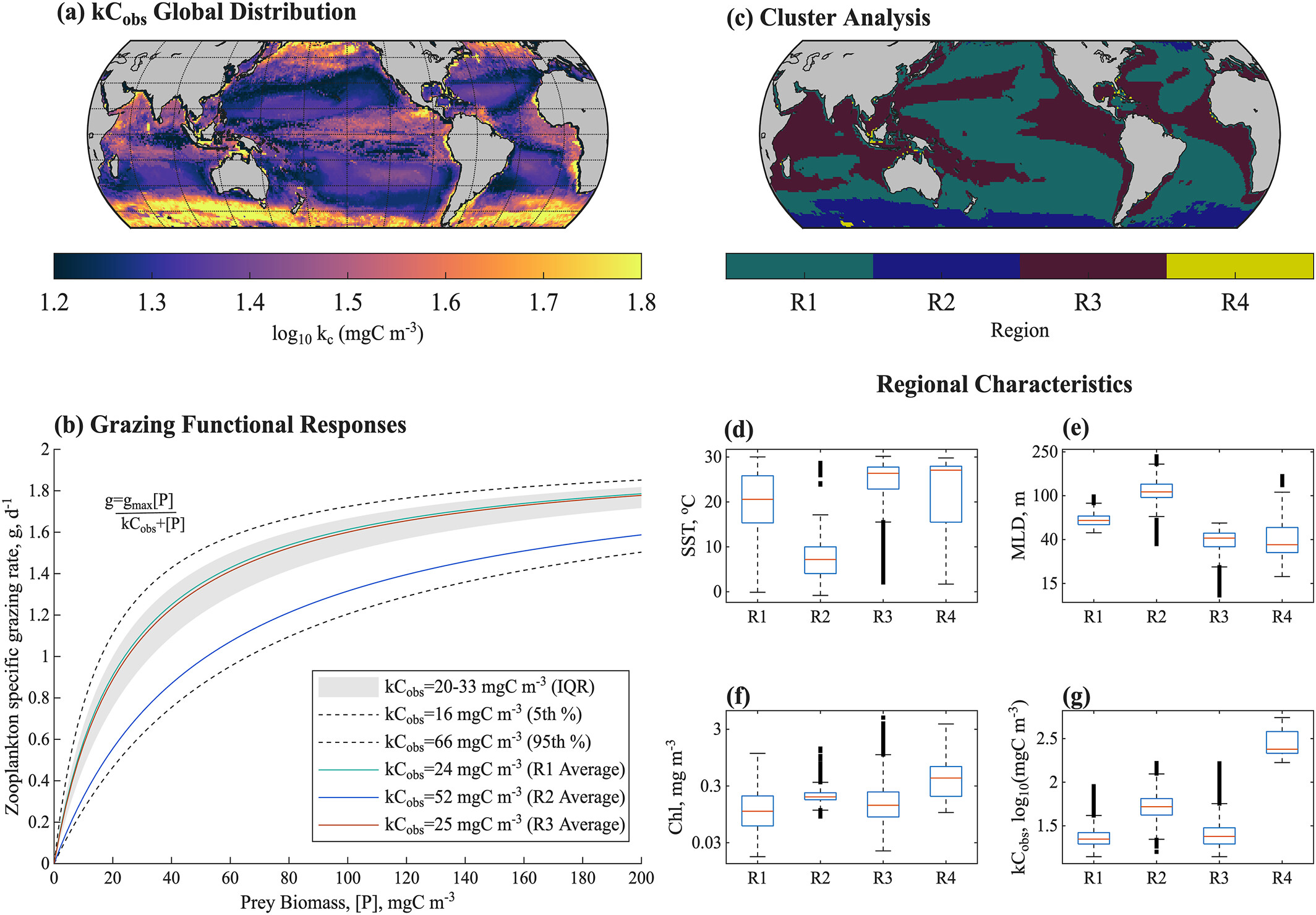 New Paper!